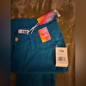 YMI Vibrant Teal Jeggings for Women
